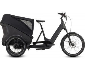 Trike Hybrid Cargo 750